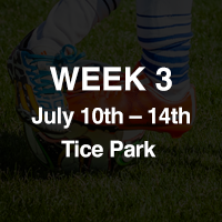 Week 3: July 10th - July 14th