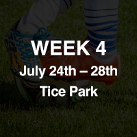 Week 4: July 24th - July 28th