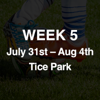 Week 5: July 31st - August 4th
